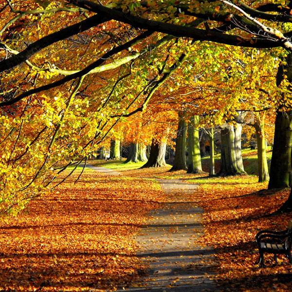 Autumn,In,Mote,Park,Maidstone